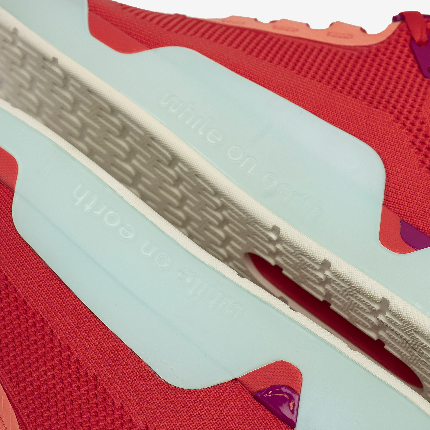 WHILE ON EARTH MOVE TRAINER FTN-Sorbelt/Salt